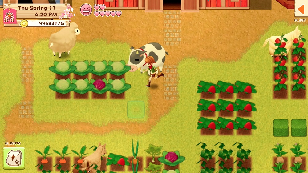 Harvest Moon Light of Hope Gameplay