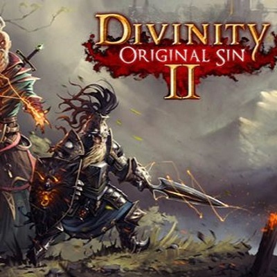 Divinity Original Sin II